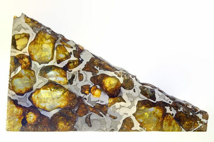 Polished Imilac Pallasite Meteorite ( g) Slice #315420